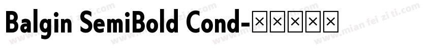 Balgin SemiBold Cond字体转换